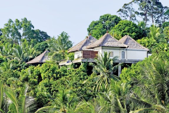 Häuser inmitten üppiger, grüner Vegetation auf einem Hang.