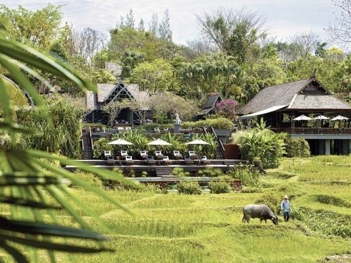 Landschaft mit Reisfeldern, einem Bauern und traditionellen Häusern im Hintergrund.